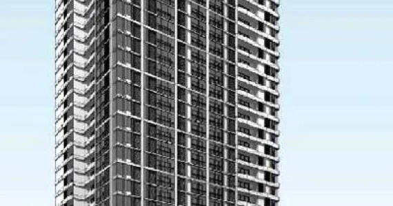 รูปภาพ ไซมิส ควีนส์ (Siamese Queens)