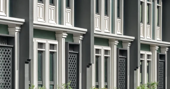 รูปภาพ ไทเกอร์ เลน เสือป่า (Tiger Lane)