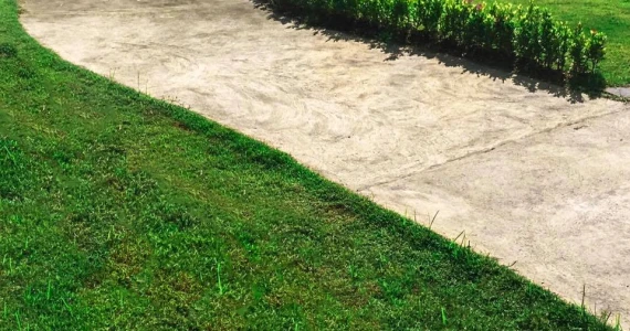 รูปภาพ บ้านฉัตรหลวง โครงการ 15 ซอยวัดบางเตยใน - สามโคก (Chatluang 15 Watbangtoeinai - Samcoke)