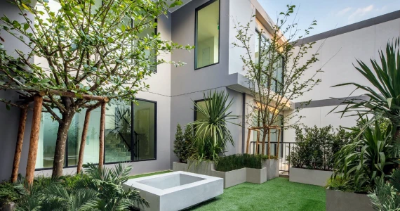 รูปภาพ เดอะเน็กซ์ เจ็ดยอด (The Next Jedyod)