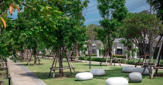 รูปภาพ นิรติ บางนา (Nirati Bangna)