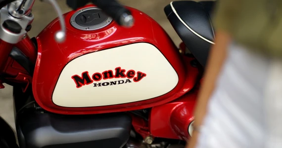 รูปภาพ ฮอนด้า Honda Monkey Custom 1988 CHERRY EDITION ปี 2020