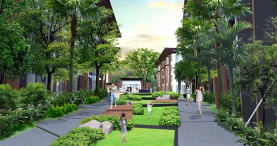 รูปภาพ พาคาทัส (Pacatas)