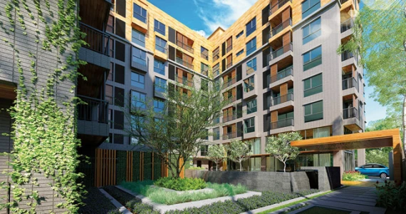 รูปภาพ ซิงค์ เนเจอร์ สยาม (Sync Nature Siam)