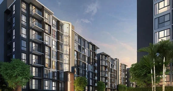 รูปภาพ เซล รัตนาธิเบศร์ (Zelle Rattanathibet)