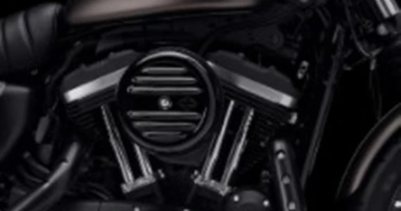 รูปภาพ ฮาร์ลีย์-เดวิดสัน Harley-Davidson Cruiser Iron 883 ปี 2022