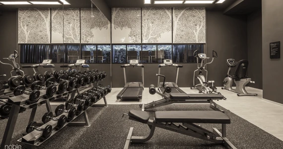 รูปภาพ โนเบิล รีวีล (Noble Reveal)