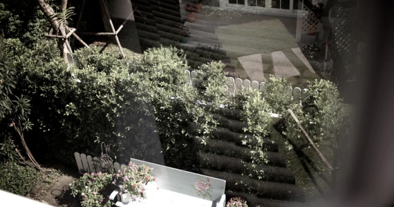 รูปภาพ บุราสิริ ปัญญาอินทรา (Burasiri Panyaindra)