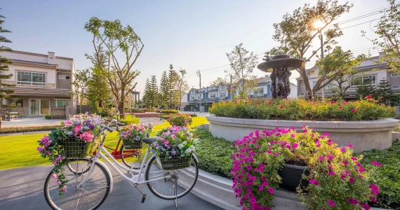 รูปภาพ อินดี้ ปิ่นเกล้า - สิรินธร (Indy Pinklao - Sirinthorn)