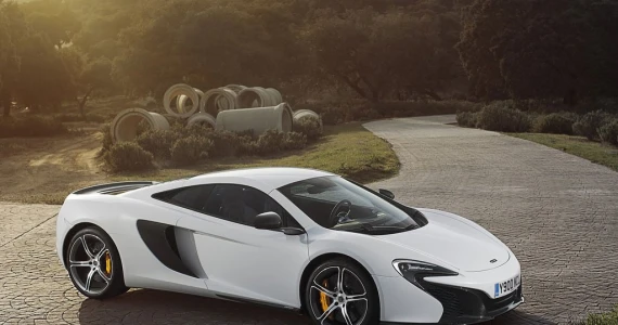 รูปภาพ แมคลาเรน McLaren 650S Standard ปี 2014