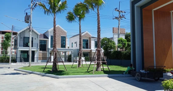 รูปภาพ เดอะ ไฮฟ์ โรจนะ (The Hive Rojana)