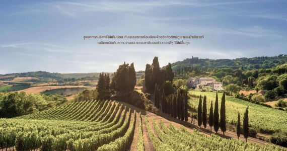 รูปภาพ เคียนติ ดิ เขาใหญ่ (Chianti di Khao Yai)