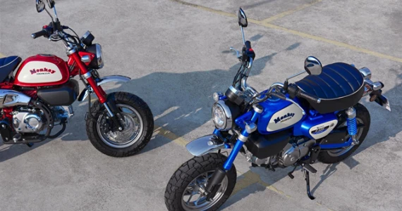 รูปภาพ ฮอนด้า Honda Monkey Custom Blue Cherry Edition ปี 2020