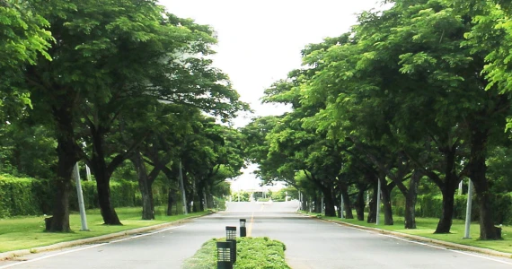 รูปภาพ ซิลเวอร์ เลค พาร์ค สุวินทวงศ์ 78 (Silver Lake Park Suwinthawong 78)