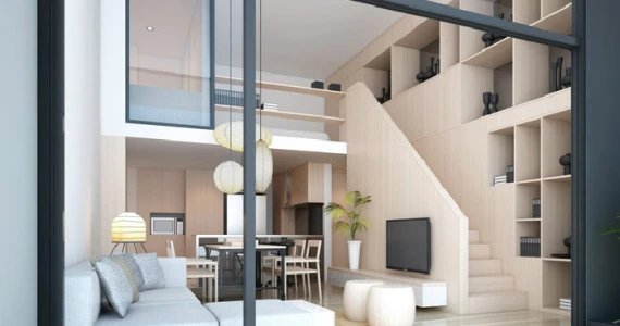 รูปภาพ ไซมิส จอยญ่า (Siamese Gioia)