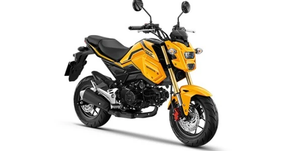 รูปภาพ ฮอนด้า Honda MSX125 SF Standard MY20 ปี 2020