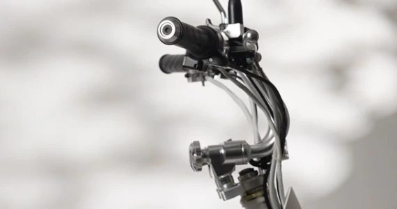 รูปภาพ สตาเลียน Stallions EV OSAKA ปี 2023