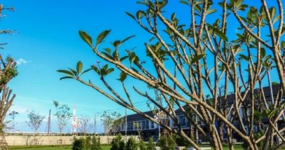 รูปภาพ ซื่อตรง โคซี่ บางบัวทอง-340 (บางใหญ่) (Suetrong Cozy Bangbuathong-340) (Bangyai)