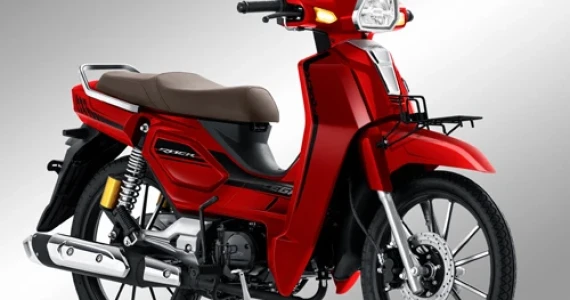 รูปภาพ จีพีเอ็กซ์ GPX Rock Elegance ปี 2020