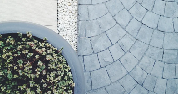 รูปภาพ ภัทรีดาอเวนิว ปทุมธานี (PATREEDA AVENUE Pathumthani)