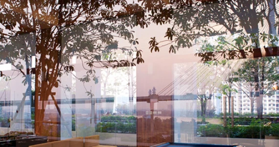 รูปภาพ เดอะ พาโน (The Pano)