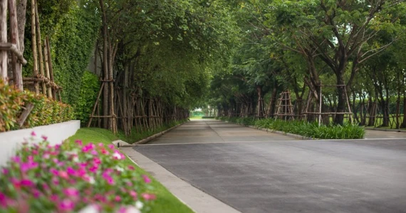 รูปภาพ คณาสิริ ชัยพฤกษ์ - วงแหวน (Kanasiri Chaiyapruek - Wongwaen)