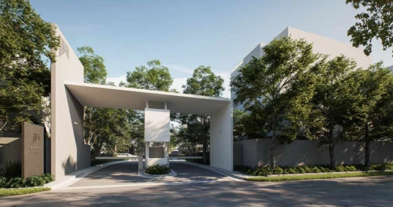 รูปภาพ อาคิน วิภาวดี (Arkin Vibhavadi)