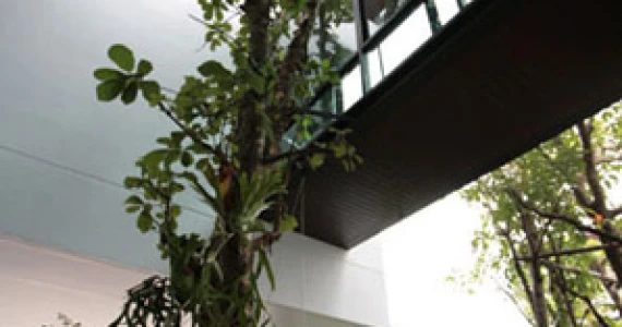 รูปภาพ เนอวานา บียอนด์ เกษตร-นวมินทร์ (Nirvana Beyond Kaset-Nawamin)