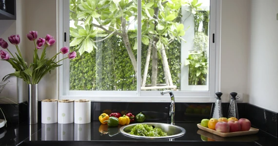 รูปภาพ เนอวานา บียอนด์ พระราม 9 (Nirvana Beyond Rama 9)