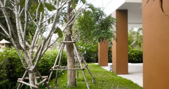 รูปภาพ หัวหิน บลู สกาย (Hua Hin Blue Sky)