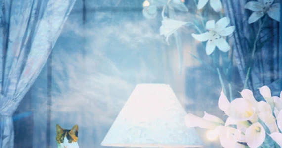 รูปภาพ บ้านกลางเมือง พระราม 3 ราษฎร์บูรณะ (Baan Klang Muang)