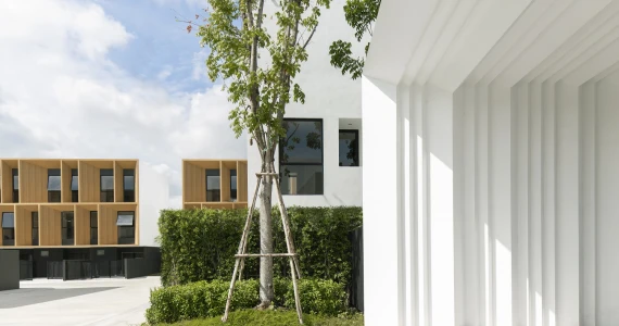 รูปภาพ พลูม วัชรพล-เอกมัย (Plume Watcharaphon-Ekkamai)