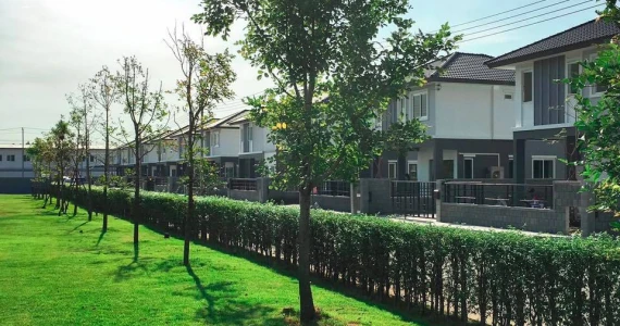 รูปภาพ บ้านฉัตรหลวง โครงการ 15 ซอยวัดบางเตยใน - สามโคก (Chatluang 15 Watbangtoeinai - Samcoke)