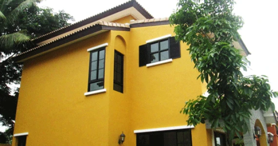 รูปภาพ พิลโล่ 36 (Pillow 36)