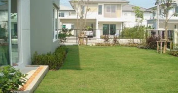 รูปภาพ พฤกษ์ลดา ติวานนท์-ราชพฤกษ์ (Pruklada Tiwanon-Ratchapruk)