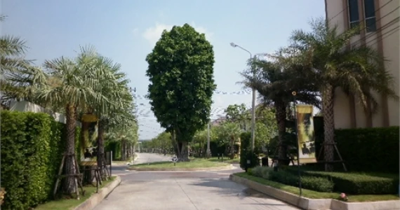 รูปภาพ เซนโทร อ่อนนุช-วงแหวน (Centro)