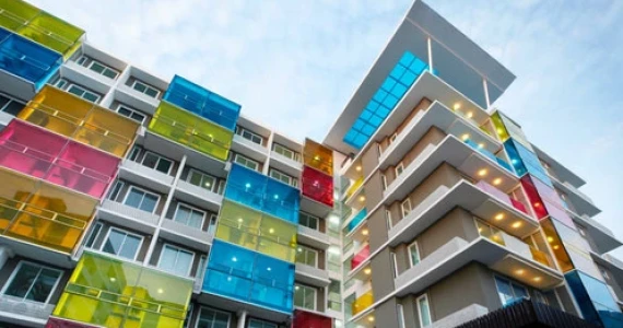 รูปภาพ เดอะ คัลเลอร์รี่ วิวิด (The Colory Vivid)