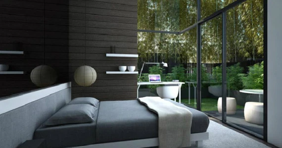 รูปภาพ ไซมิส จอยญ่า (Siamese Gioia)