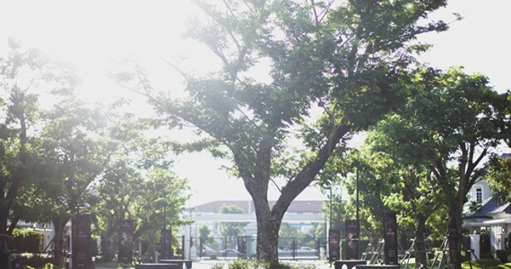 รูปภาพ กรานาดา ปิ่นเกล้า-เพชรเกษม (Granada Pinklao Petchkasem)