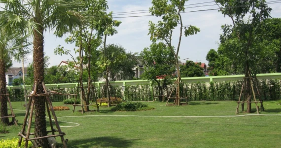 รูปภาพ บ้านราชพฤกษ์ ประตูน้ำพระอินทร์ เฟส 2 (Baan Ratchapruek Pratunam Pra-inn Phase 2)