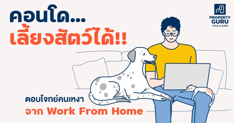 UPDATE คอนโดเลี้ยงสัตว์ได้!! ตอบโจทย์คนเหงาจาก Work From Home