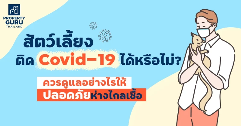 สัตว์เลี้ยงติด Covid-19 ได้หรือไม่? ควรดูแลอย่างไรให้ปลอดภัยห่างไกลเชื้อ