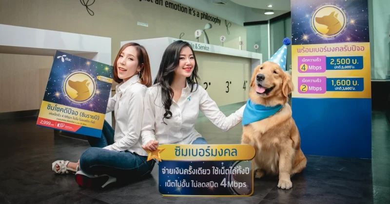 dtac เปิดตัว "ซิมโชคดีปีจอ" จ่ายเงินครั้งเดียวเล่นเน็ตได้ไม่อั้น ไม่ลดความเร็วได้ทั้งปี! พร้อมเบอร์มงคลคัดพิเศษ