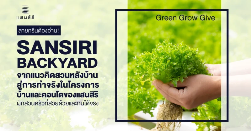 "Sansiri Backyard" จากแนวคิดสวนหลังบ้าน สู่การทำได้จริงให้ลูกบ้านในหลายโครงการบ้าน - คอนโดของแสนสิริ