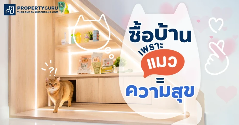 เทรนด์ใหม่มาแรง “ซื้อบ้านเพราะอยากเลี้ยงแมว”