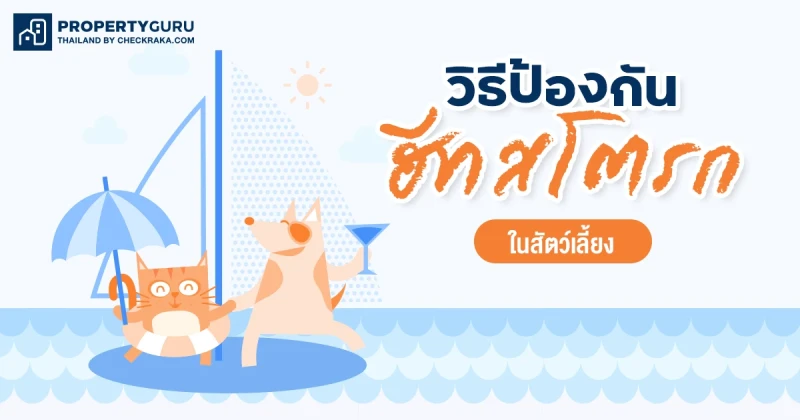 8 วิธีป้องกันน้องหมาและแมวฮีทสโตรก โรคร้ายที่มาพร้อมอากาศร้อน