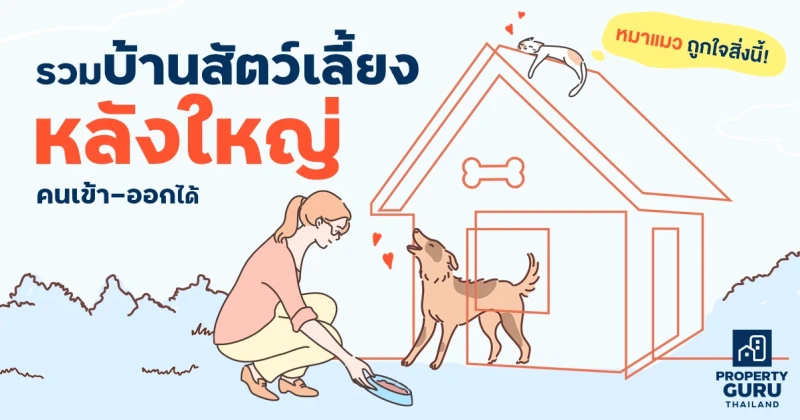 หมาแมว ถูกใจสิ่งนี้! รวมบ้านสัตว์เลี้ยงหลังใหญ่ คนเข้า-ออกได้