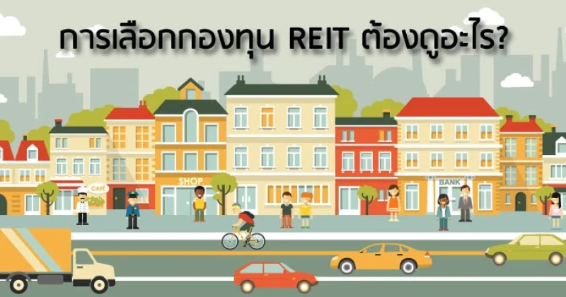 การเลือกกองทุน REIT ต้องดูอะไรบ้าง?