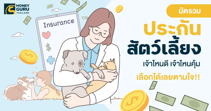 มัดรวม "ประกันสัตว์เลี้ยง" เจ้าไหนดี เจ้าไหนคุ้ม เลือกได้เลยตามใจ!!