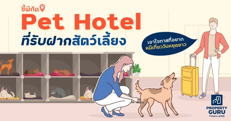 ชี้พิกัด "Pet Hotel" ที่รับฝากสัตว์เลี้ยง เอาใจทาสที่อยากหนีเที่ยววันหยุดยาว